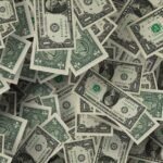 wealth, currency, finance, dollar, abundance, wealth, dollar, abundance, abundance, abundance, abundance, abundance