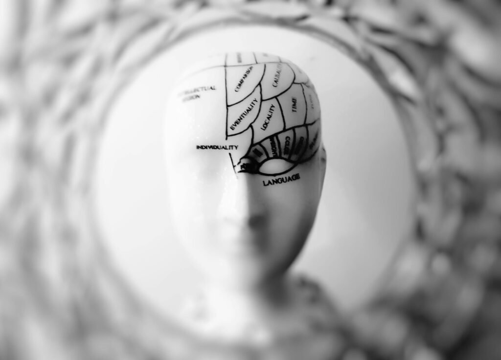 pexels-photo-724994-724994 Close-up black and white image of a phrenology head with brain sections labeled.
